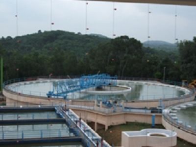 Untitled design (60)